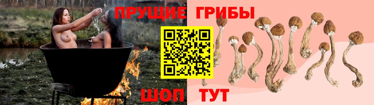 Галлюциногенные грибы мухоморы  Псилоцибиновые грибы Psilocybine cubensis  Ревда  Вход с VPN 